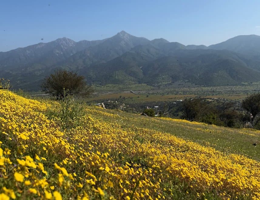 Naturaleza y entorno rural — Curacaví