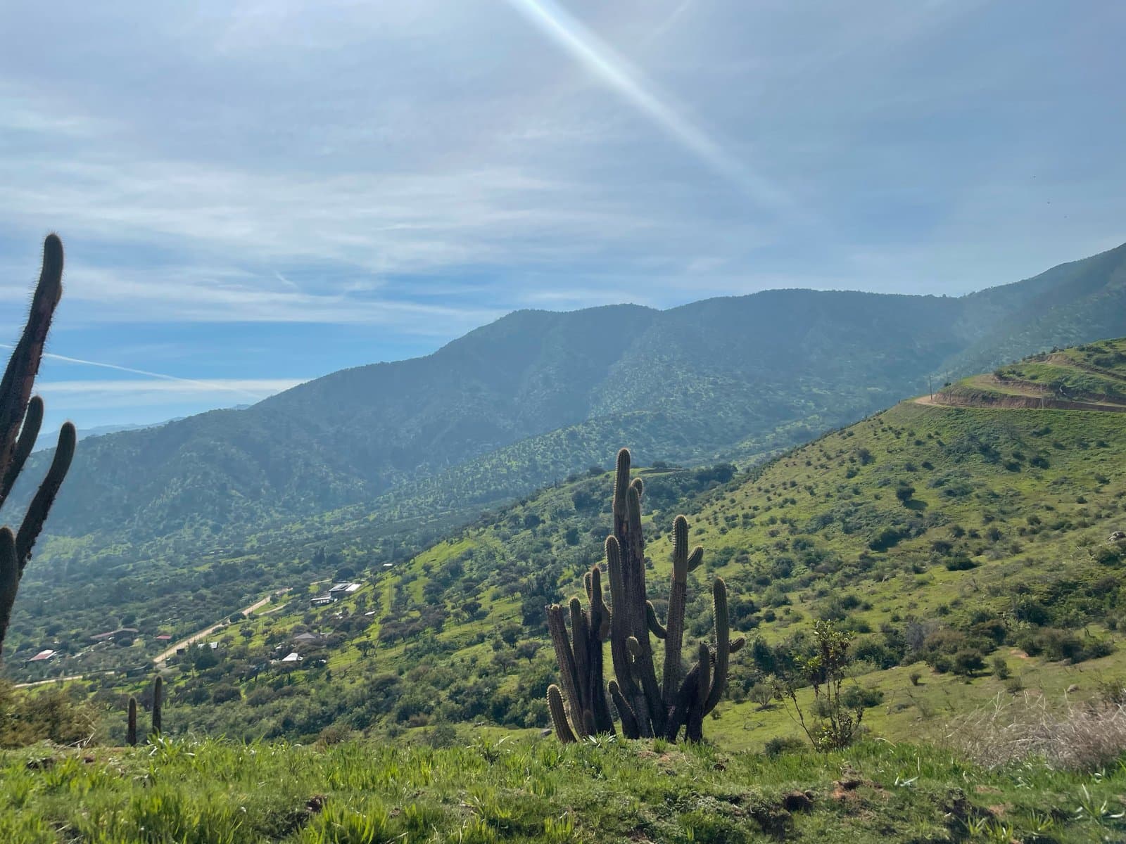 Caminos internos del proyecto — Curacaví