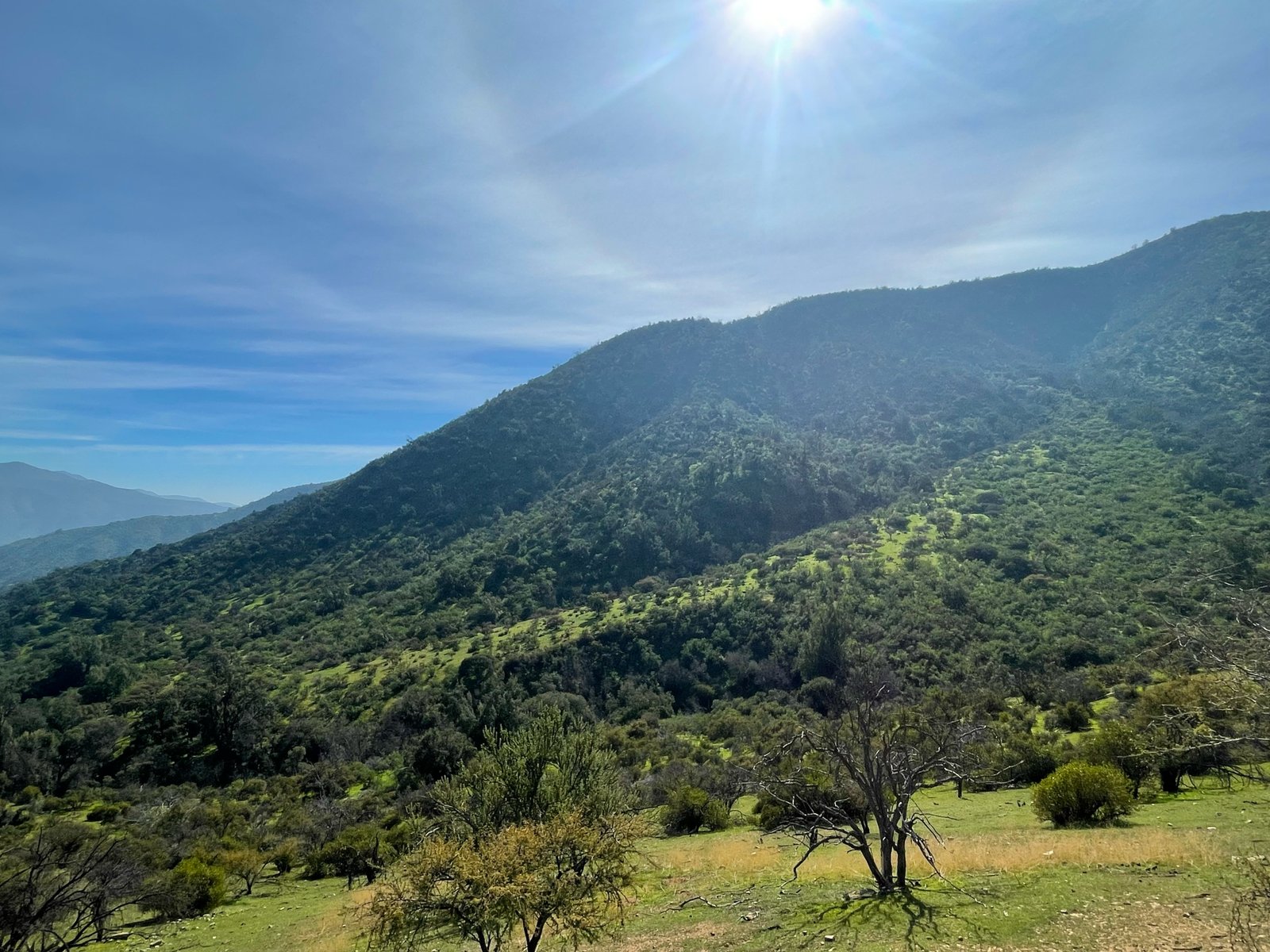 Montañas y cielo azul